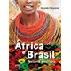 Livro - Africa e Brasil - Historia e Cultura - Damorim