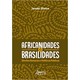 Livro - Africanidades e Brasilidades: Direitos Humanos e Politicas Publicas - Oliveira