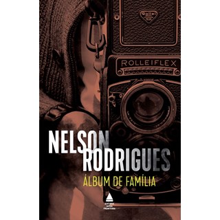 Livro - Album de Familia - ( Nova Fronteira ) - Rodrigues