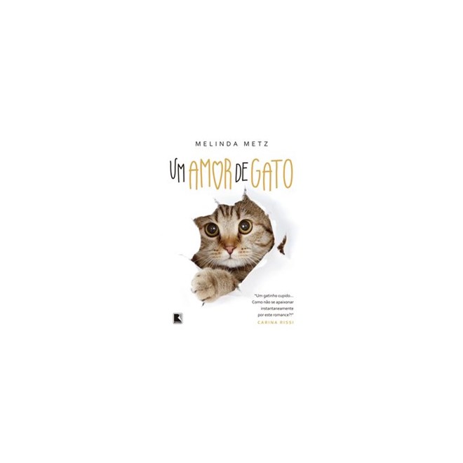 Livro - Amor de Gato, Um - Metz
