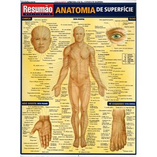 Livro - Anatomia de Superficie Resumao - Fischer