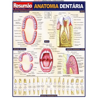 Livro - Anatomia Dentaria Resumao - Fischer