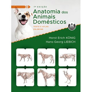 Livro Anatomia dos Animais Domésticos - König - Artmed