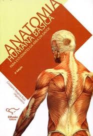 anatomia humana basica alexander spence pdf