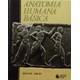 Livro - Anatomia Humana Basica - Spence