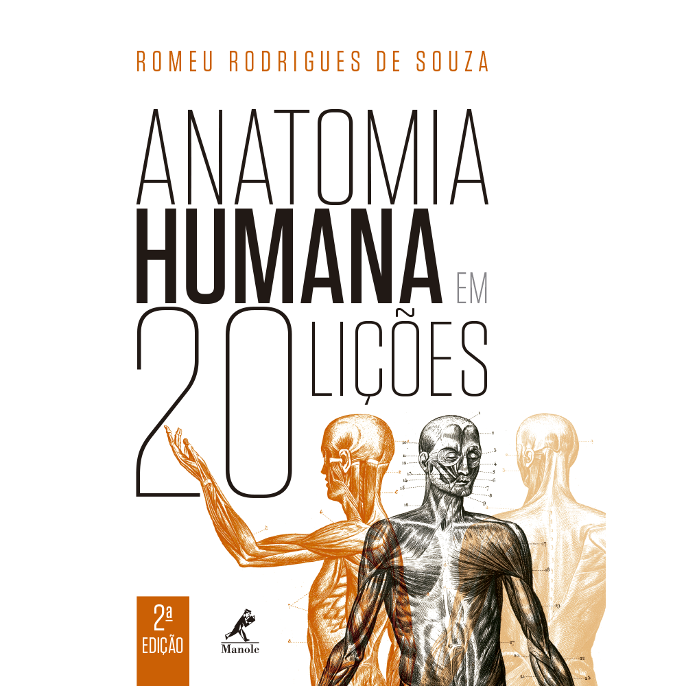 Livro - Anatomia Humana Em 20 Lições - Souza Comprar Na Livraria Florence