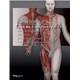 Livro - Anatomia para o Cirurgiao Plastico - Gomes/levy/babinski