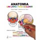 Livro Anatomia Um Livro para Colorir - Kapit