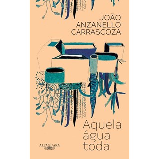 Livro - AQUELA AGUA TODA - CARRASCOZA