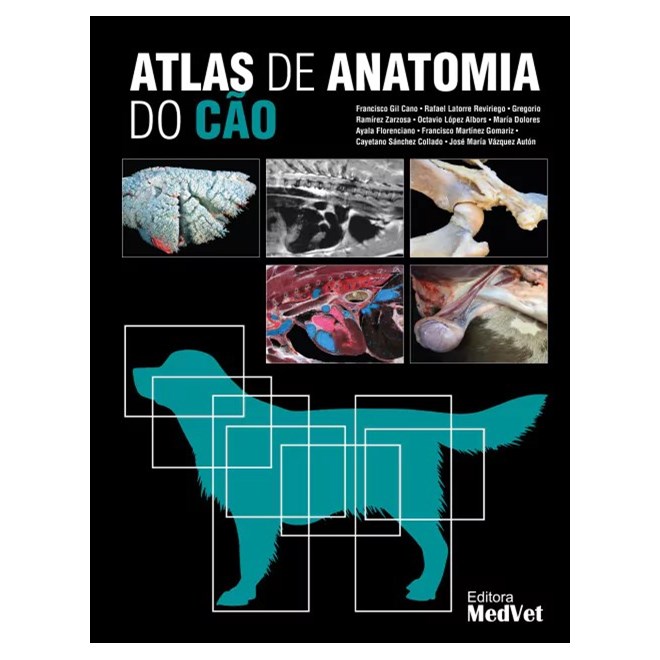 Sebo do Messias Livro - Atlas de Anatomia Veterinária - Para Colorir