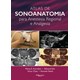 Livro - Atlas de Sonoanatomia para Anestesia Regional e Analgesia - Karmakar/soh/chee