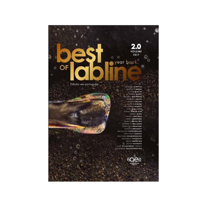 Livro - Best Of Labline - Year Book - Vol.2 - Blasi/bologna/torosi