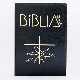 Livro - Biblia de Aparecida: Letra Grande - Preta - Editora Santuario