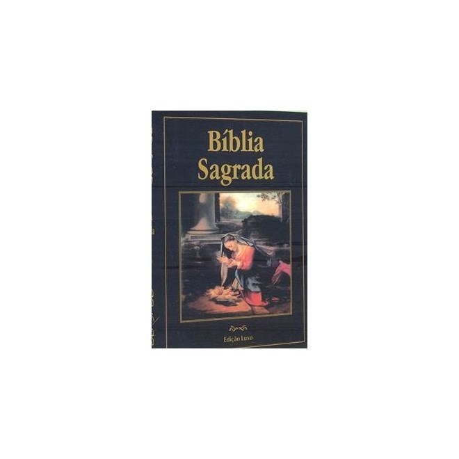 Livro - Biblia Sagrada (edicao Luxo) - Figueiredo