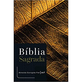 Livro - Biblia Sagrada: Folhas - Agape - Editora Agape