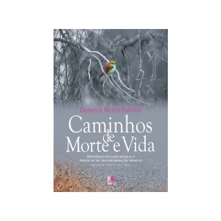 Livro - Caminhos de Morte e Vida - Historias Esclarecedoras e Praticas de Transform - Santos