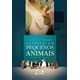 Livro Clínica em Pequenos Animais - Taylor - gen Guanabara