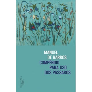 Livro - Compendio para Uso dos Passaros - Barros/barros/morico