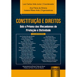 Livro Constituição e Direitos - Avila Junior - Juruá