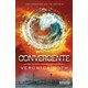 Livro - Convergente - Roth
