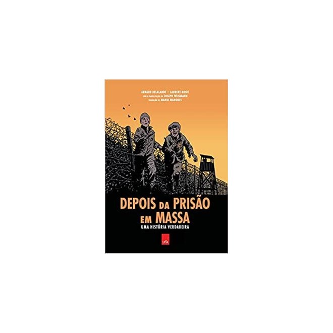Livro - Depois da Prisao em Massa: Uma Historia Verdadeira (graphic Novel) - Delalande