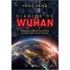 Livro - Diarios de Wuhan: Relatos da Cidade em Quarentena, por Quem Esteve Na Linha - Fang