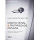 Livro - Direito Penal e Propriedade Privada - a Racionalidade do Sistema Penal Na T - Salvador Netto