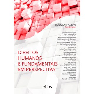 Livro - Direitos Humanos e Fundamentais em Perspectiva - Brandao