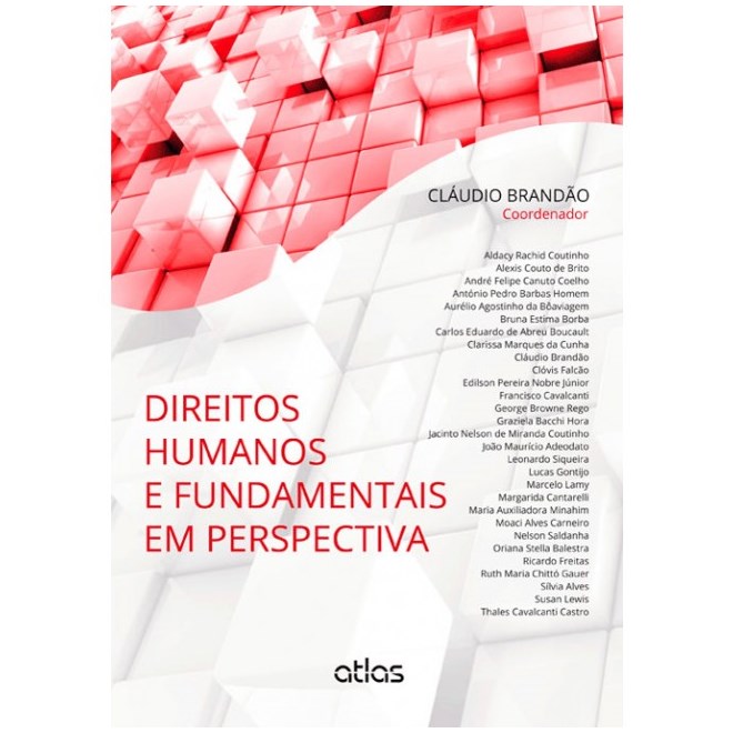 Livro - Direitos Humanos e Fundamentais em Perspectiva - Brandão