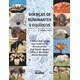 Livro - Doencas de Ruminantes e Equideos: 2 Volumes - Riet-correa/ Schild