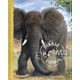 Livro - Elefante: Diario Animal - Parker