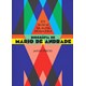 Livro - Em Busca da Alma Brasileira – Biografia de Mário de Andrade - Tércio