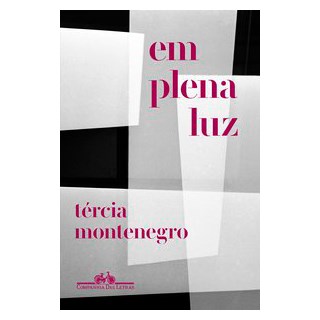 Livro - Em Plena Luz - Montenegro