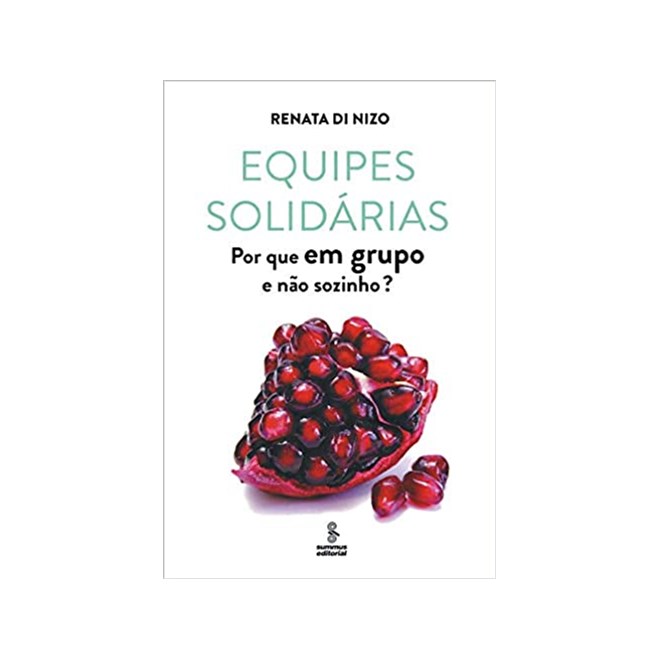 Livro - Equipes Solidarias - por Que em Grupo e Nao Sozinho - Nizo