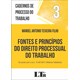 Livro - Fontes e Principios do Direito Processual do Trabalho - de Acordo com a Lei - Teixeira Filho