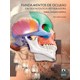 Livro - Fundamentos de Oclusao em Odontologia Restauradora - Forma, Funcao e Esteti - Mendes