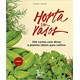 Livro - Horta em Vasos - 100 Cartas com Dicas e Plantas Ideais para Cultivo - Costa