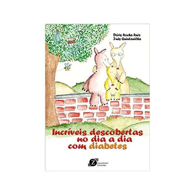 Livro - Incriveis Descobertas do Dia a Dia com Diabetes - Ruiz