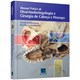 Livro - Manual Pratico de Otorrinolaringologia e Cirurgia de Cabeca e Pescoco - Goldenberg
