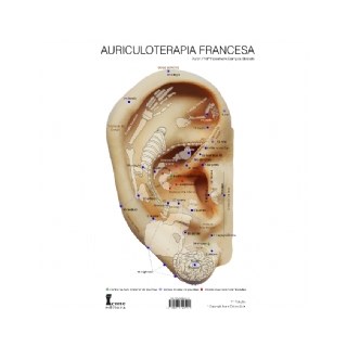 Livro - Mapa Auriculoterapia Francesa - Bissiato