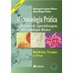 Livro - Microbiologia Pratica: Aplicacoes de Aprendizagem de Microbiologia Basica - - Ribeiro/stelato