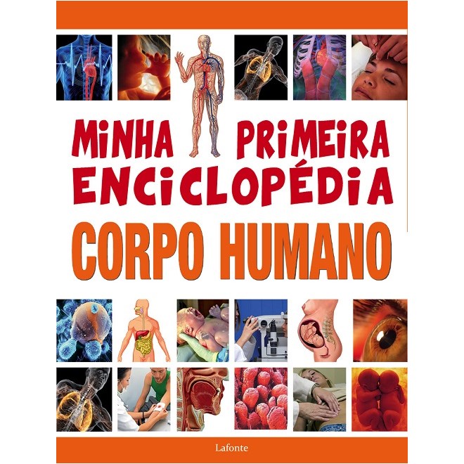 Livro - Minha Primeira Enciclopedia Corpo Humano - Aceti