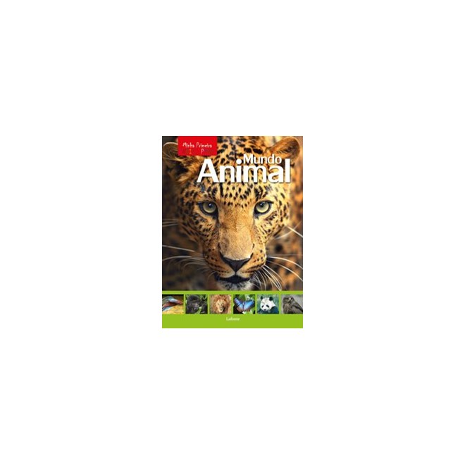 Livro - Minha Primeira Enciclopédia - Mundo Animal - Aceti; Scuderi 1º edição