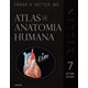 Livro - NETTER ATLAS DE ANATOMIA HUMANA - EDICAO ESPECIAL COM NETTER 3D - NETTER
