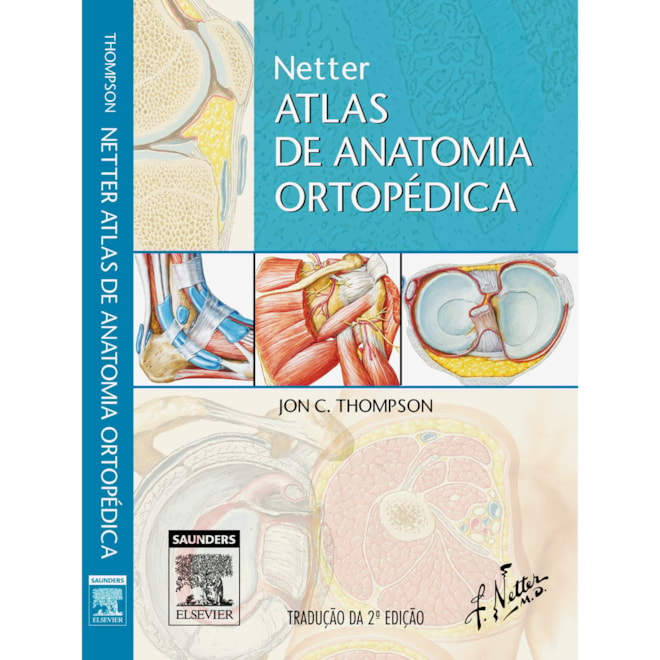 Atlante di anatomia ortopedica di Netter - Jon C. Thompson: 9788821425073 -  AbeBooks