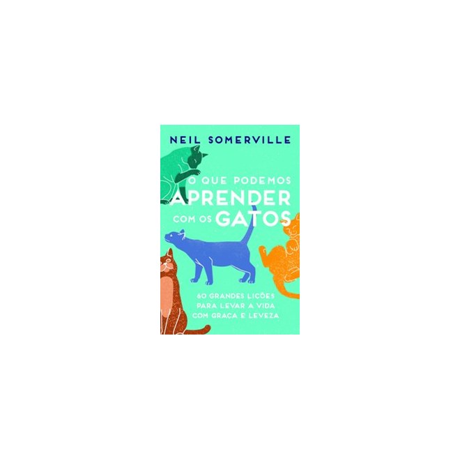 Livro - O que podemos aprender com os gatos - Somerville 1º edição