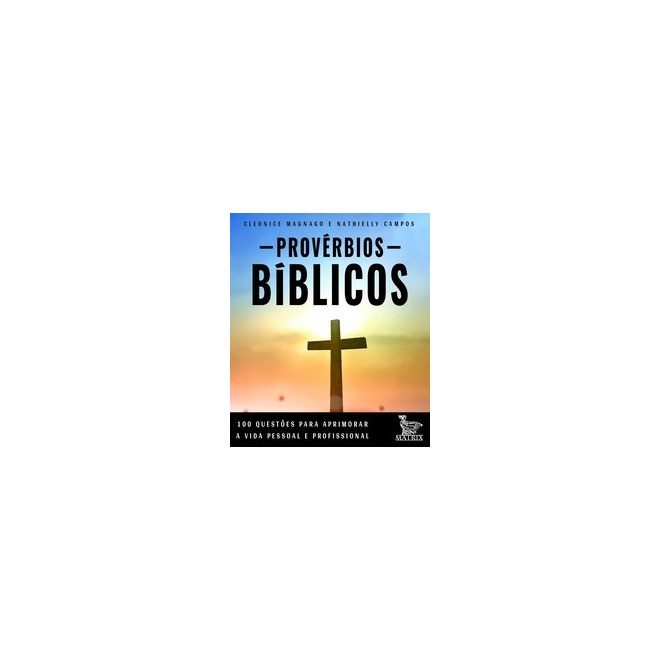 Livro - Proverbios Biblicos: 100 Questoes para Aprimorar a Vida Pessoal e Profissio - Magnago/campos