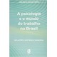 Livro - Psicologia e o Mundo do Trabalho No Brasil, A - Motta