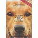 Livro - Quatro Vidas de Um Cachorro - Cameron