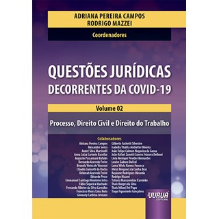 Livro - Questoes Juridicas Decorrentes da Covid-19 - Volume 02 - Processo, Direito - Campos/mazzei